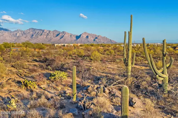 Tucson, AZ 85755,2676 W Cougar Canyon Trail