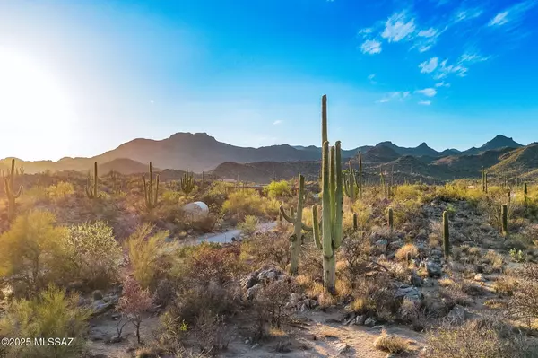 Tucson, AZ 85755,2676 W Cougar Canyon Trail