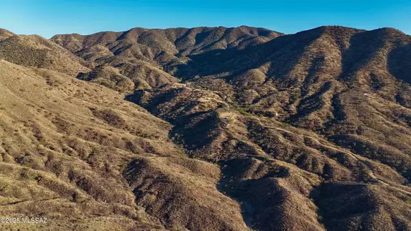 Tucson, AZ 85736,No Address