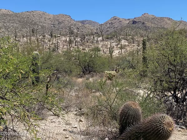 Tucson, AZ 85749,5236 N Mesquite Canyon Place #14