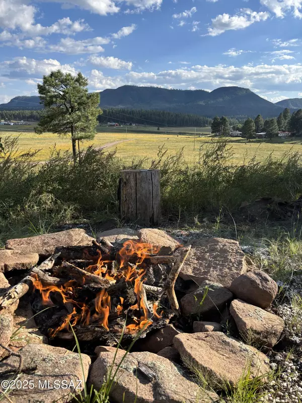 Alpine, AZ 85920,Lot 32 The Ranch at Alpine  #32
