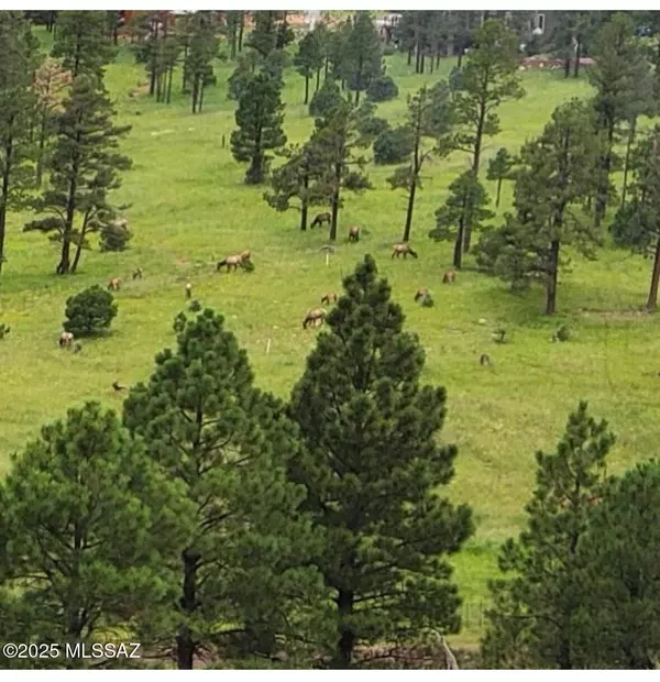 Alpine, AZ 85920,Lot 32 The Ranch at Alpine #32