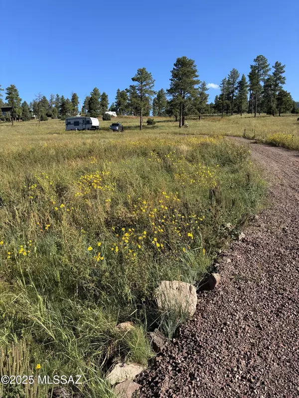 Alpine, AZ 85920,Lot 32 The Ranch at Alpine  #32