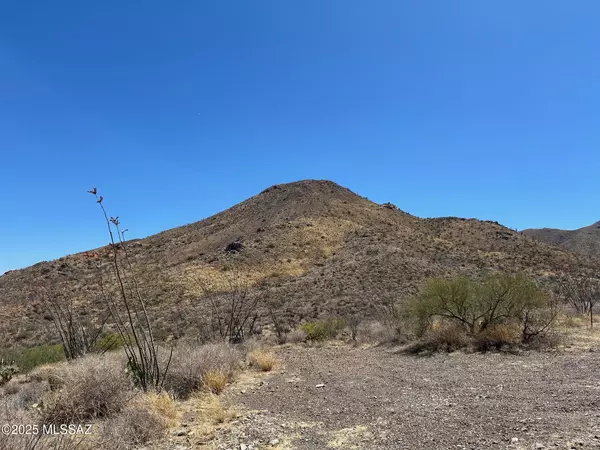Vail, AZ 85641,10580 E Ocotillo Rim Trail #6