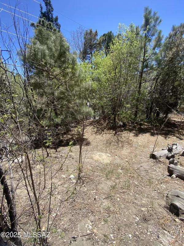 Mt. Lemmon, AZ 85619,12930 N Loma Linda Ext Road #23