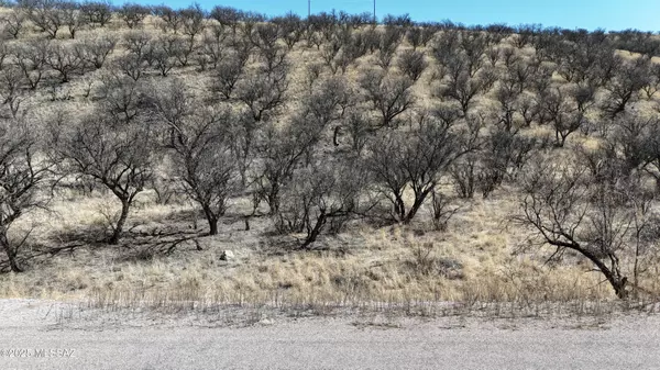 567 Mulberry Court #77, Rio Rico, AZ 85648