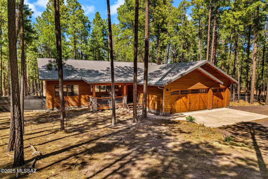 105 County Road 2266, Alpine, AZ 85920