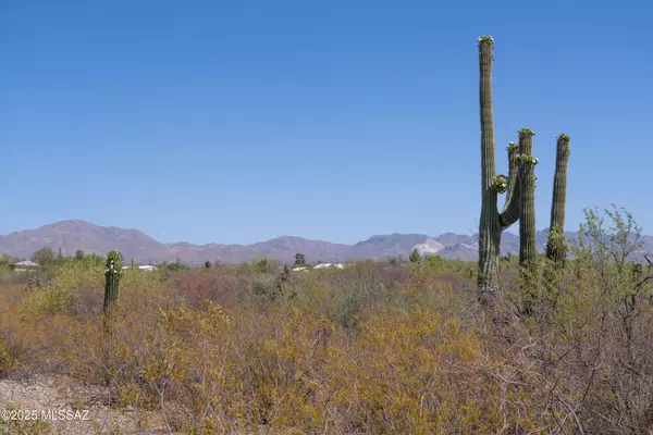 Sahuarita, AZ 85629,16503 S Sycamore Run Lane