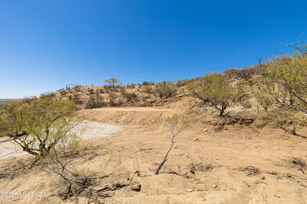 Tucson, AZ 85739,0 E Edwin Road