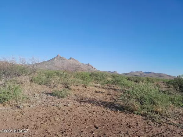 Douglas, AZ 85607,000 E Mulberry Drive #125