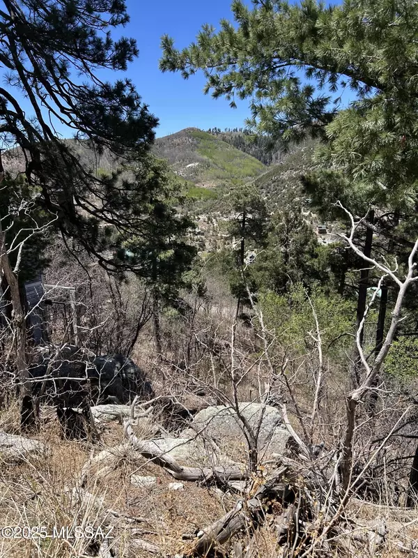 Mt. Lemmon, AZ 85619,12896 N Ajo Avenue #6