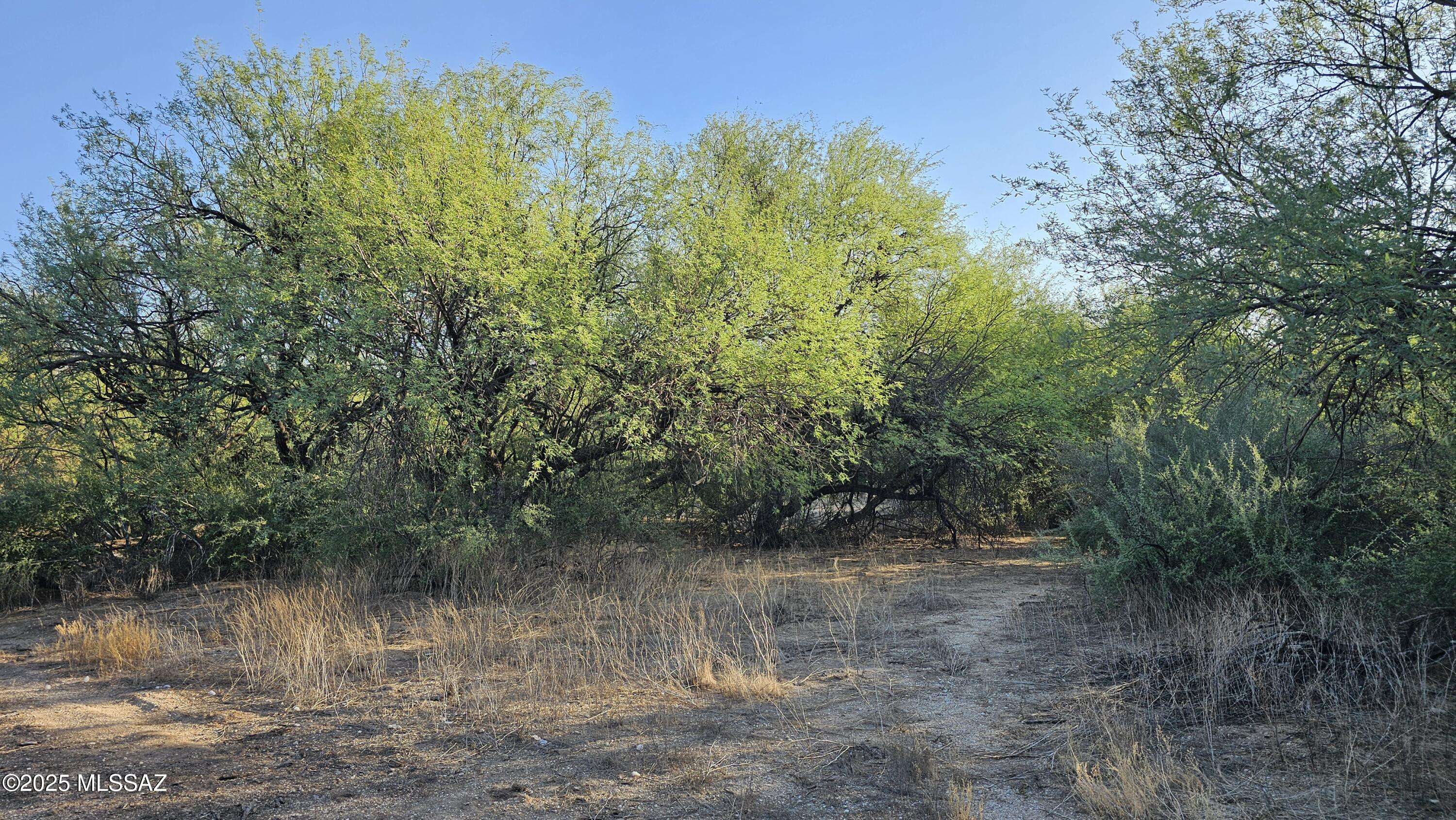 Tucson, AZ 85748,10241 E Speedway Boulevard