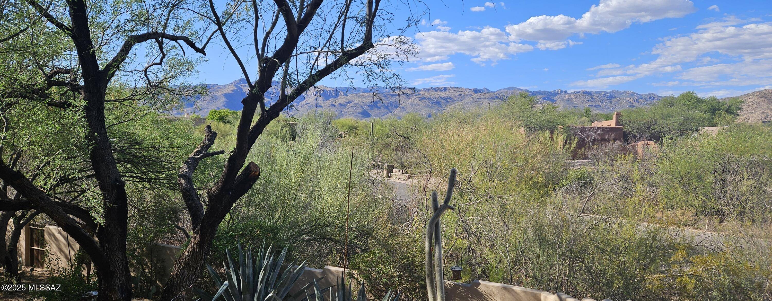 Tucson, AZ 85749,3051 N Fennimore Avenue