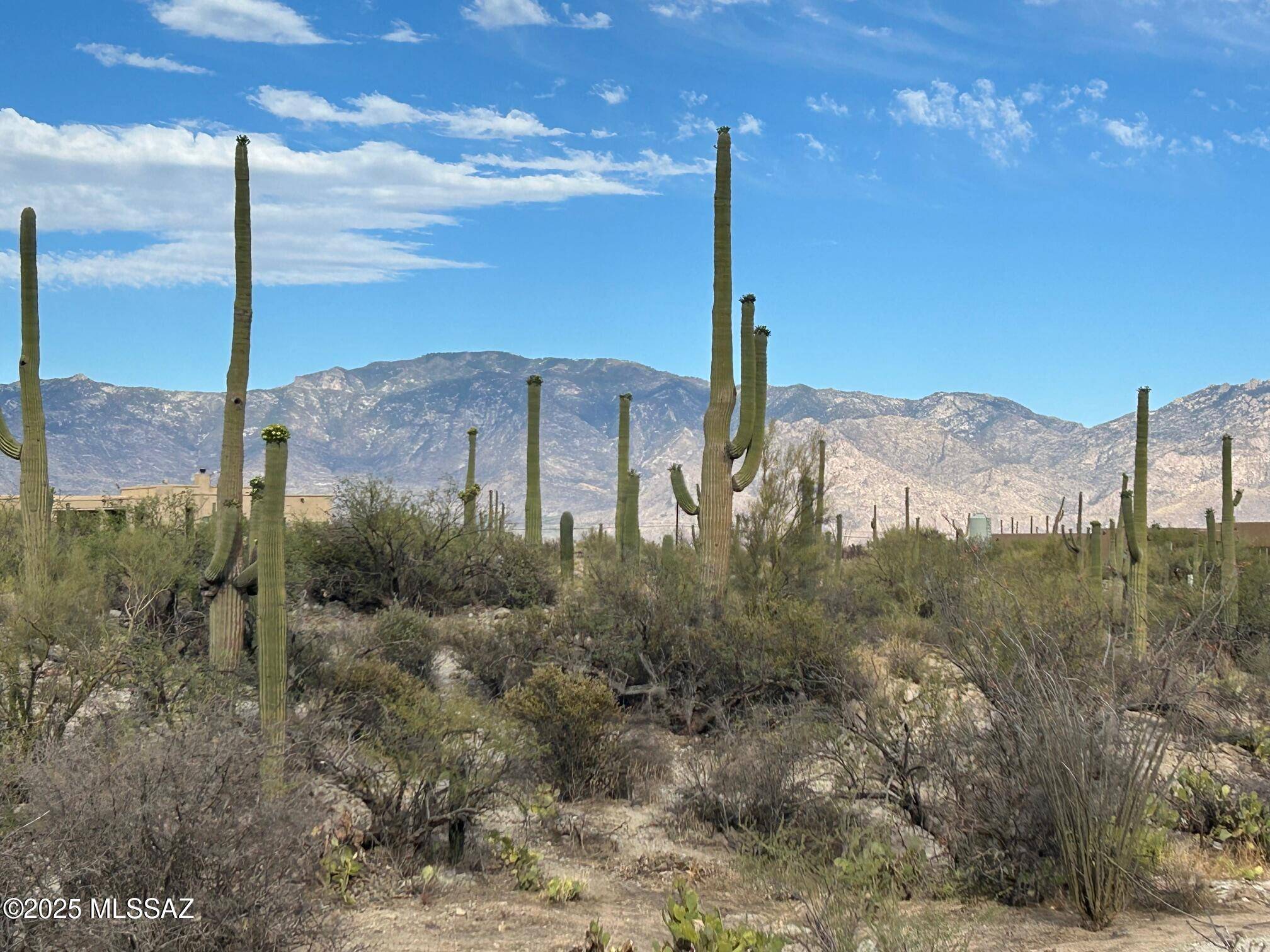 Tucson, AZ 85755,13935 N Como Drive