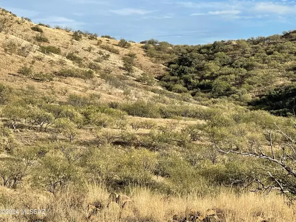 Tubac, AZ 85646,0 Ash Canyon Road #103