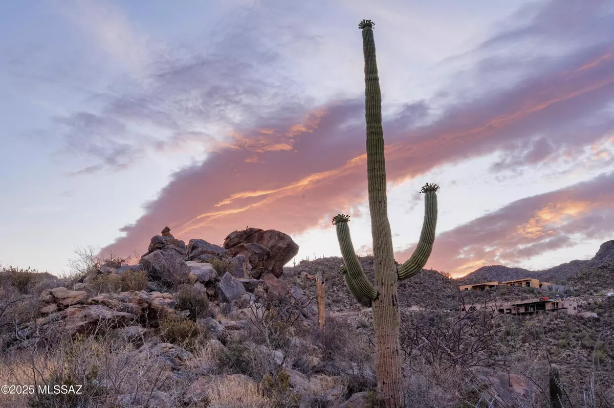 Tucson, AZ 85755,13935 Old Ranch House Road #32