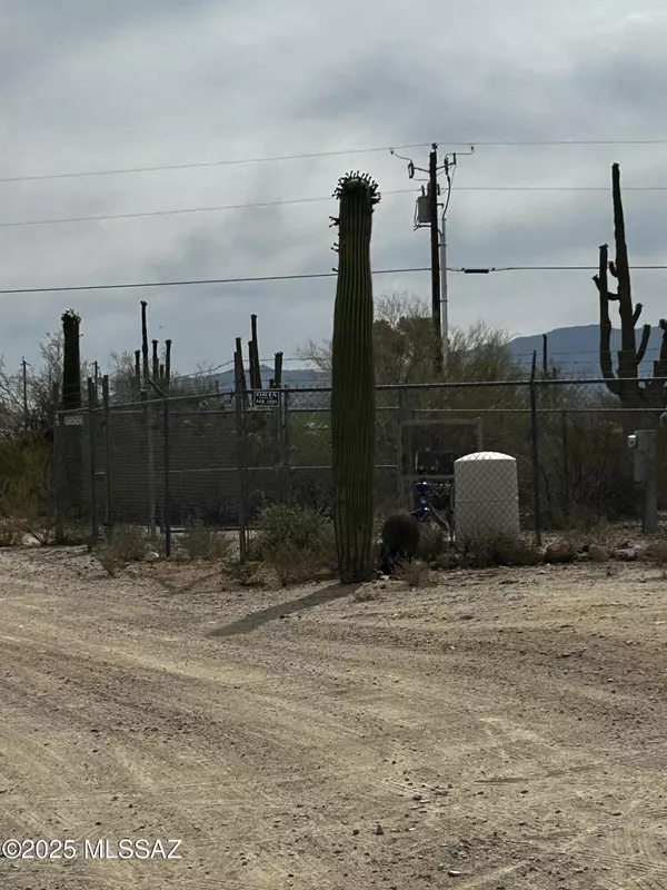 Tucson, AZ 85742,10386 N Coyote Lane