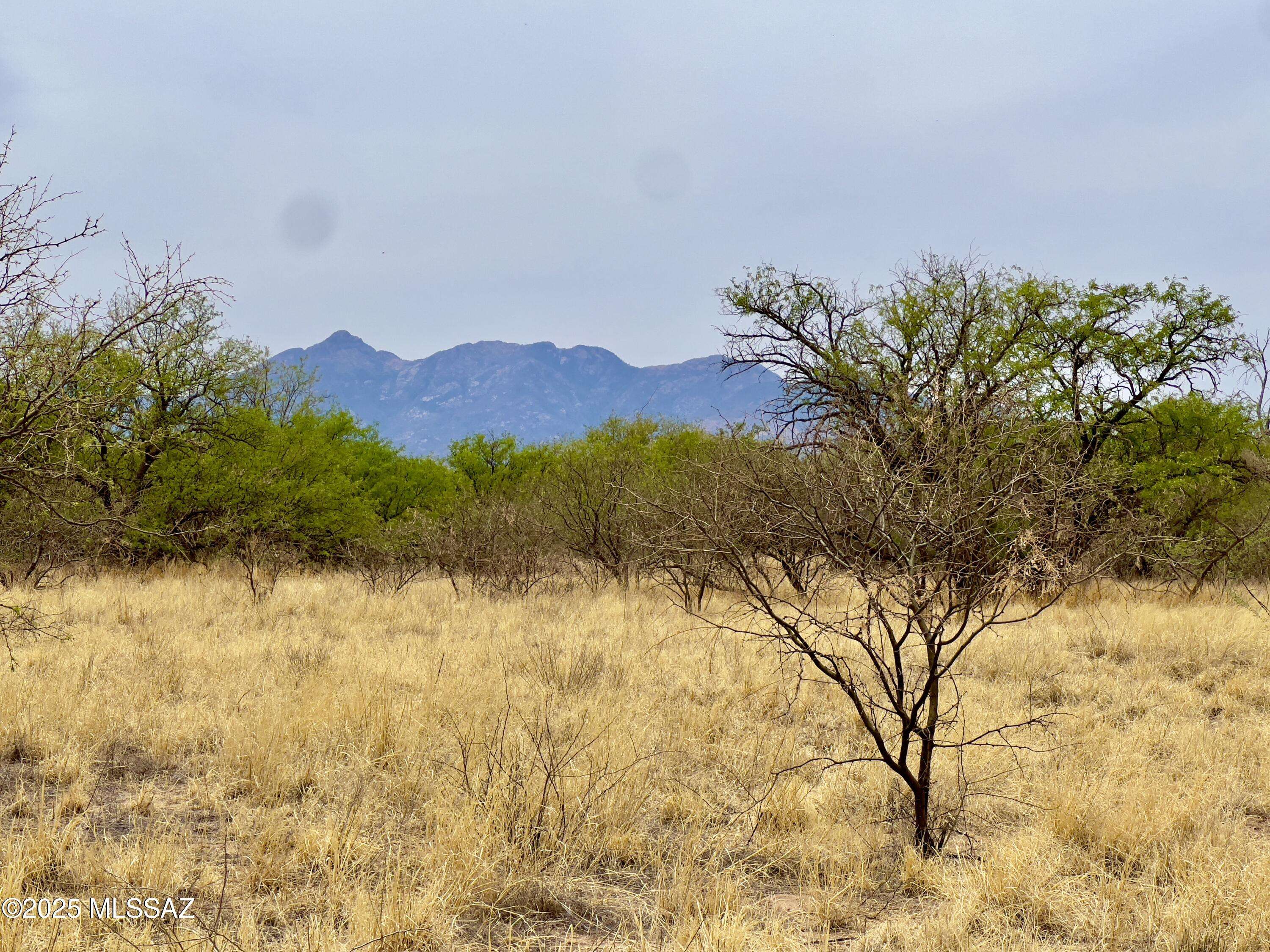 Sonoita, AZ 85637,00 Yucca Ash Farm Road