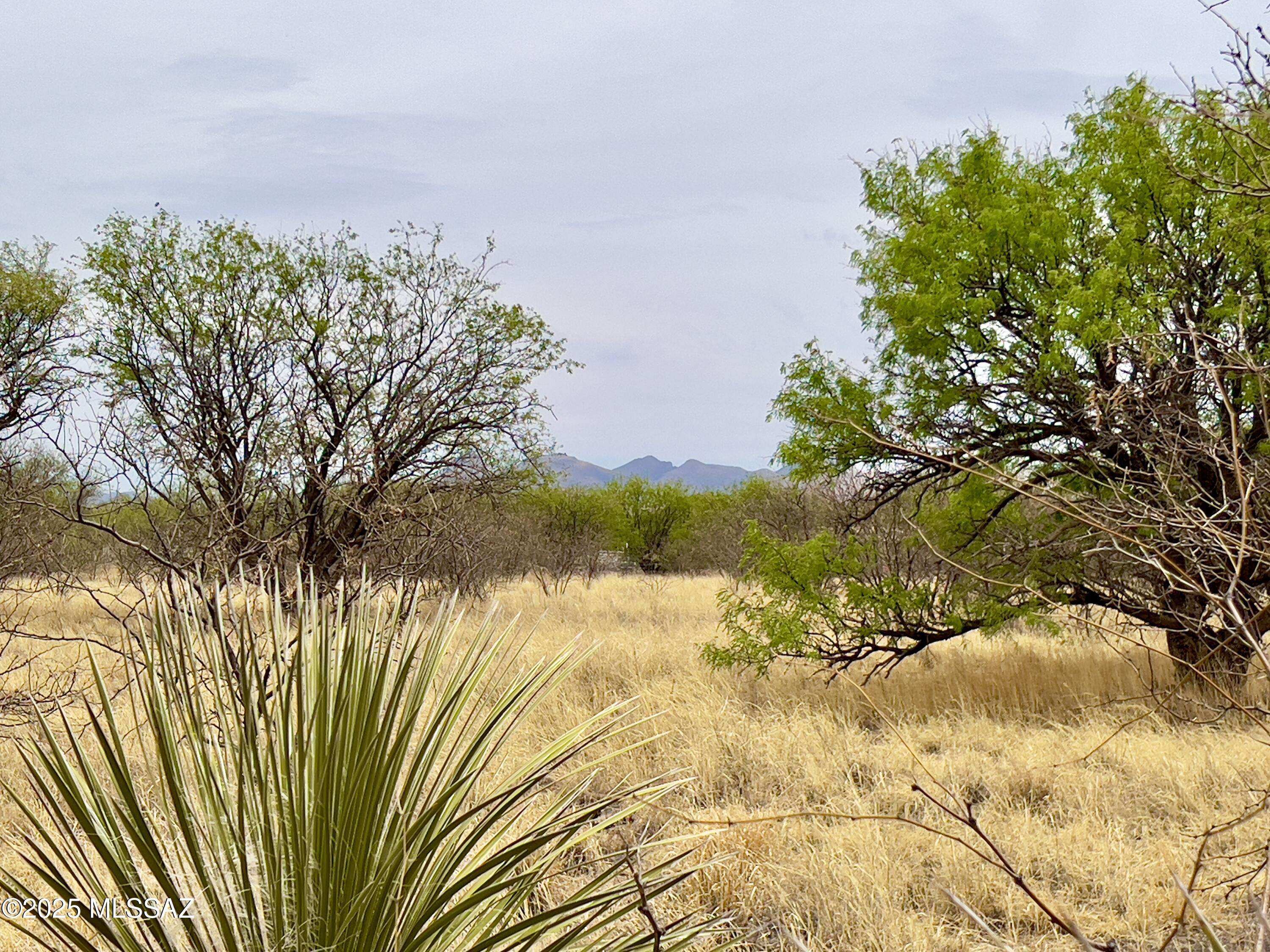00 Yucca Ash Farm Road, Sonoita, AZ 85637