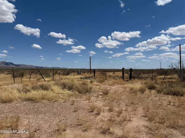 Elfrida, AZ 85610,80 ac W Gleeson Road