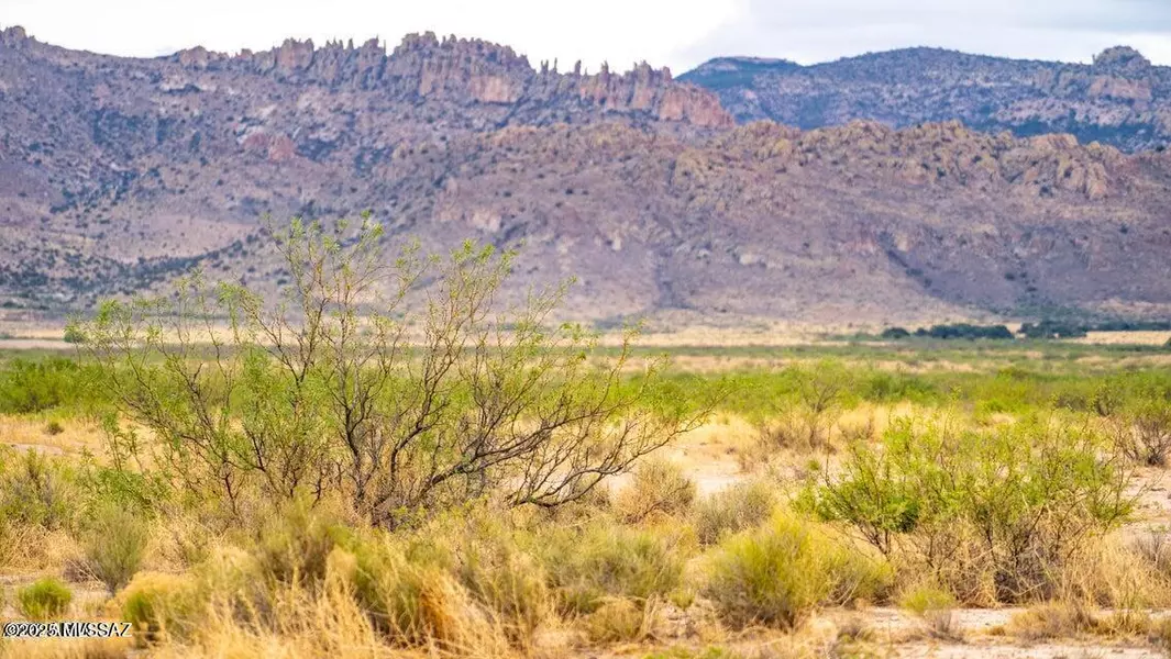 TBD E Many Wells 41 Acres, Portal, AZ 85632