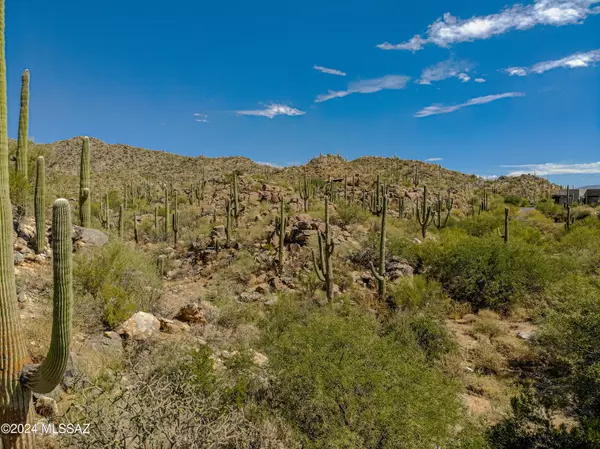 1173 W Tortolita Mountain Circle #182, Oro Valley, AZ 85755