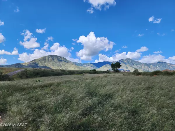 Hereford, AZ 85615,9588 S Deer Ridge Trail #8