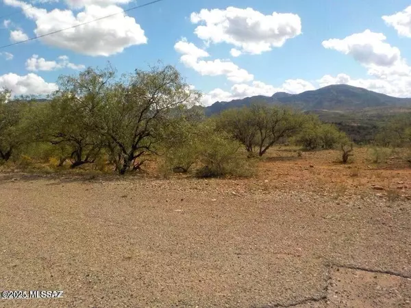 Rio Rico, AZ 85648,137 Circulo Milpas