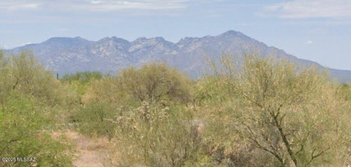 Tucson, AZ 85736,15305 W Diamond Bell Ranch Road #353