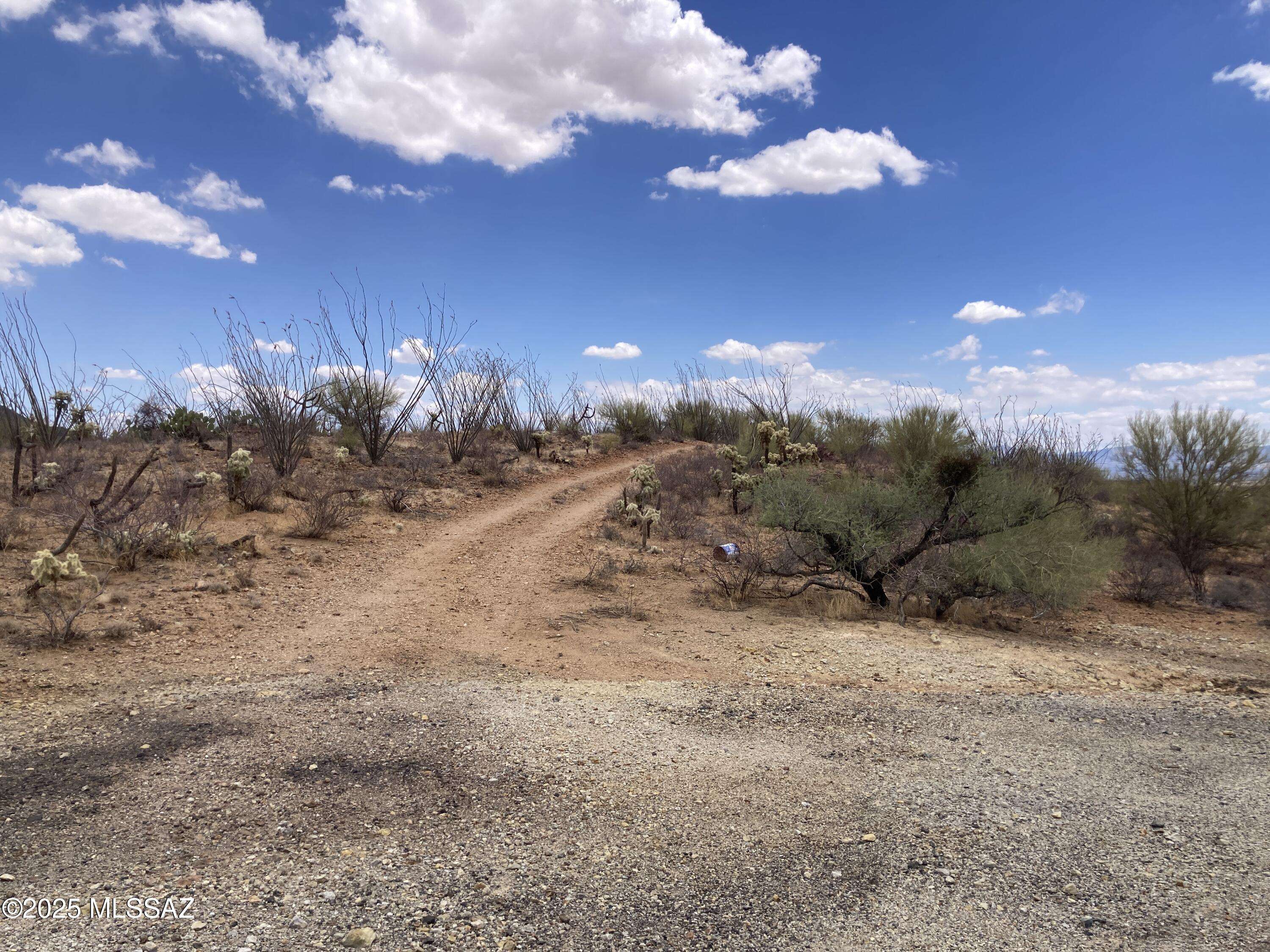 Sahuarita, AZ 85629,6718 W Dogtown Road