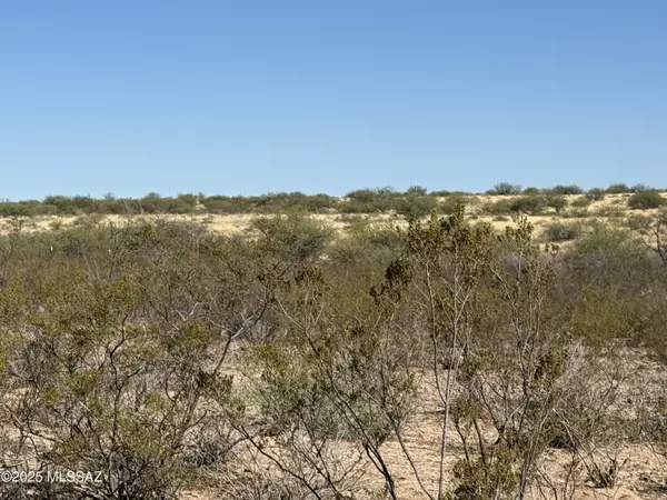 St. David, AZ 85630,1268 E Cougar Trail #123