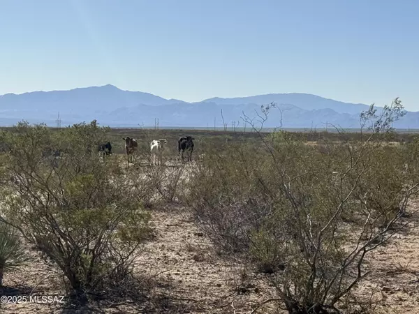 St. David, AZ 85630,1268 E Cougar Trail #123