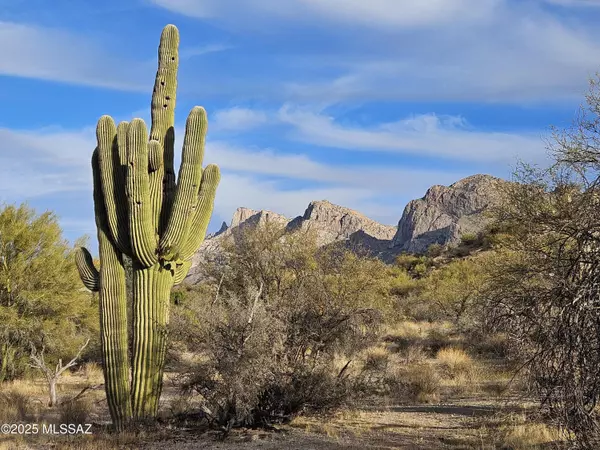 Oro Valley, AZ 85737,9745 N Calle Loma Linda
