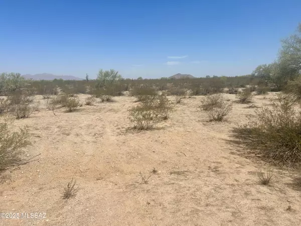 Marana, AZ 85658,0 S Desert Ranch Way #E