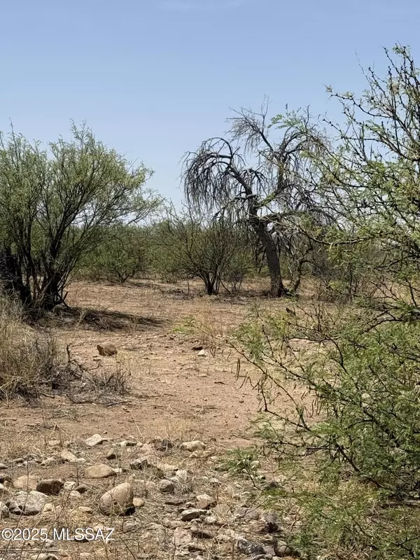 Pearce, AZ 85625,20ac S Price Ranch Road