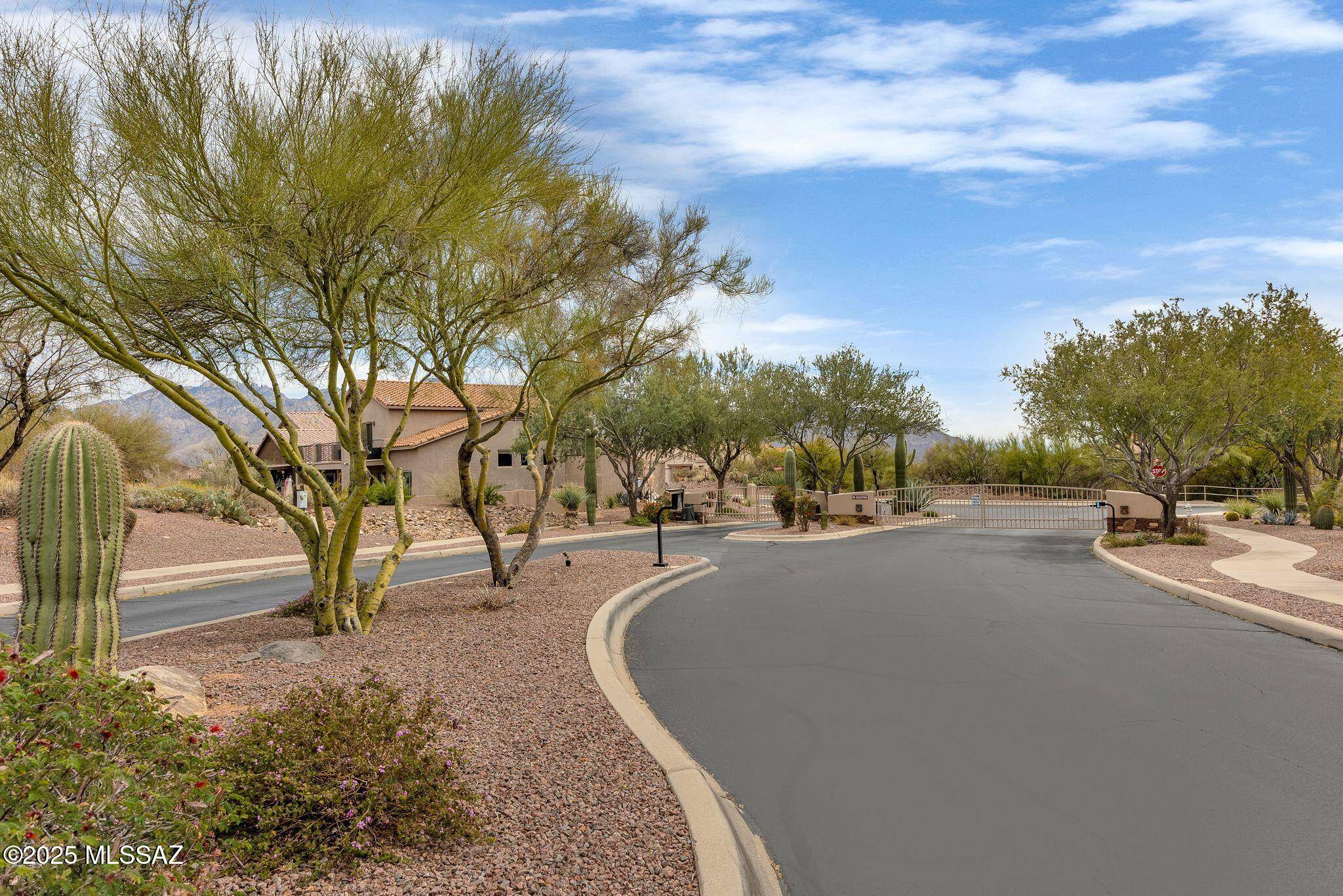 Oro Valley, AZ 85755,3 E Big Wash Place