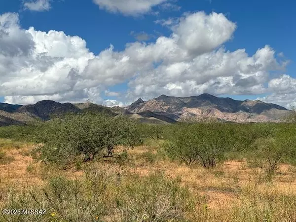 Pearce, AZ 85625,TBD N Central Rd and Zinnia  #9/10