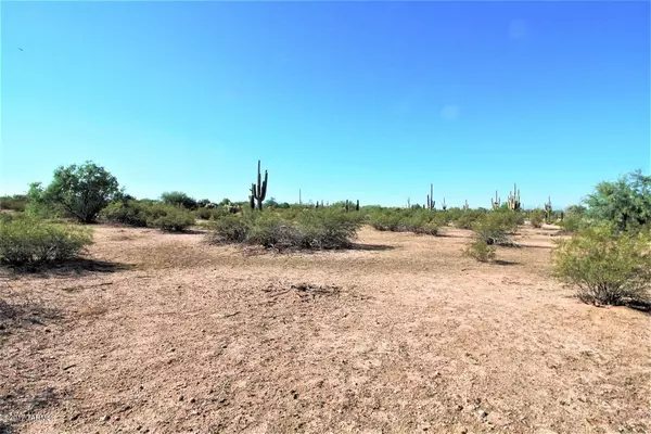 Marana, AZ 85658,End Of E Sianna East Drive