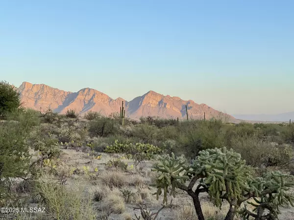 Oro Valley, AZ 85755,923 W Tortolita Mountain Circle #.