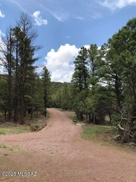 Nutrioso, AZ 85932,2 N 2331