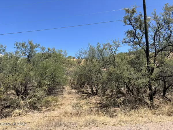 Rio Rico, AZ 85648,338 Nuevo Leon Court