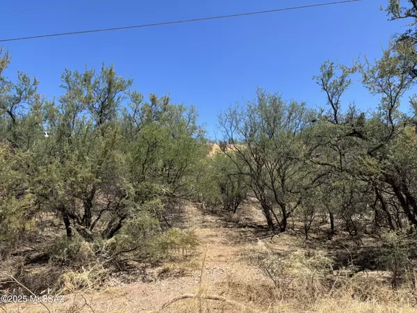 Rio Rico, AZ 85648,338 Nuevo Leon Court