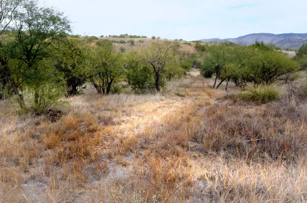 Tanglehead Lane #Lot 19, Patagonia, AZ 85624