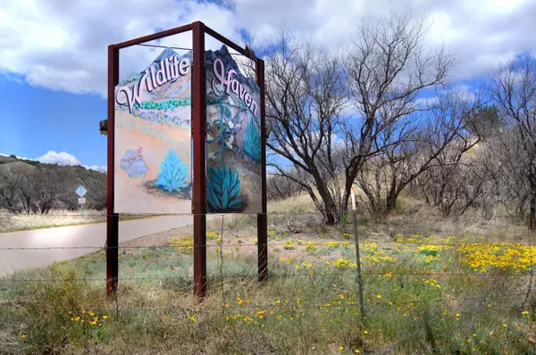 Patagonia, AZ 85624,Tanglehead Lane #LOT 20