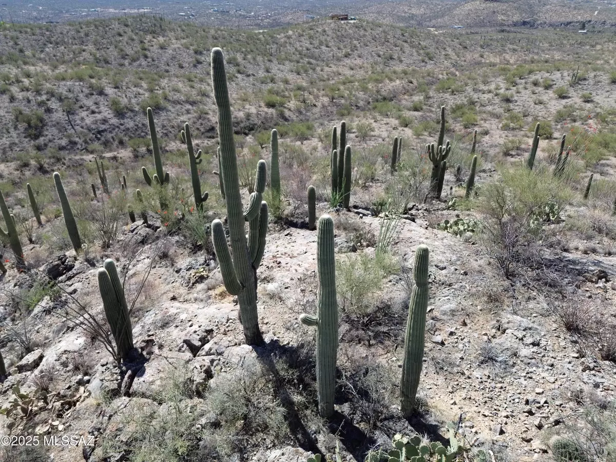 Tucson, AZ 85747,E Rincon Creek Ranch Road