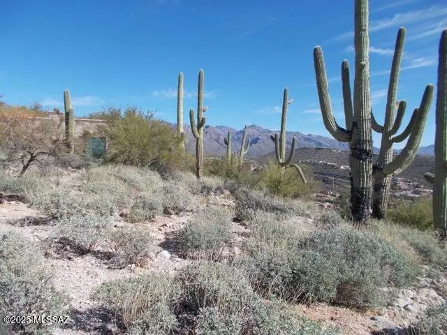 4130 N Painted Quail Place #80, Tucson, AZ 85750