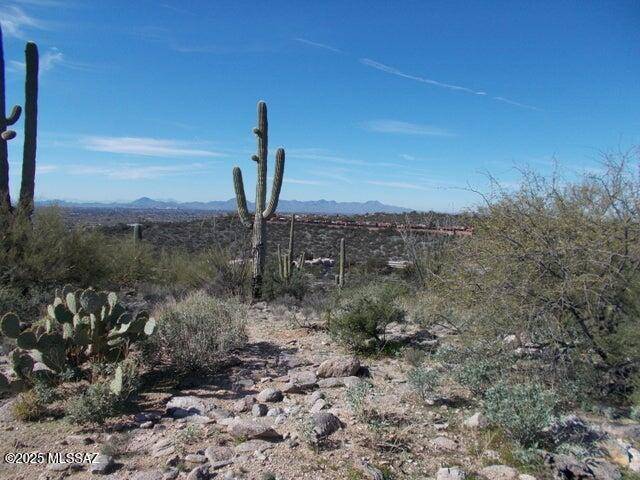 Tucson, AZ 85750,4130 N Painted Quail Place #80