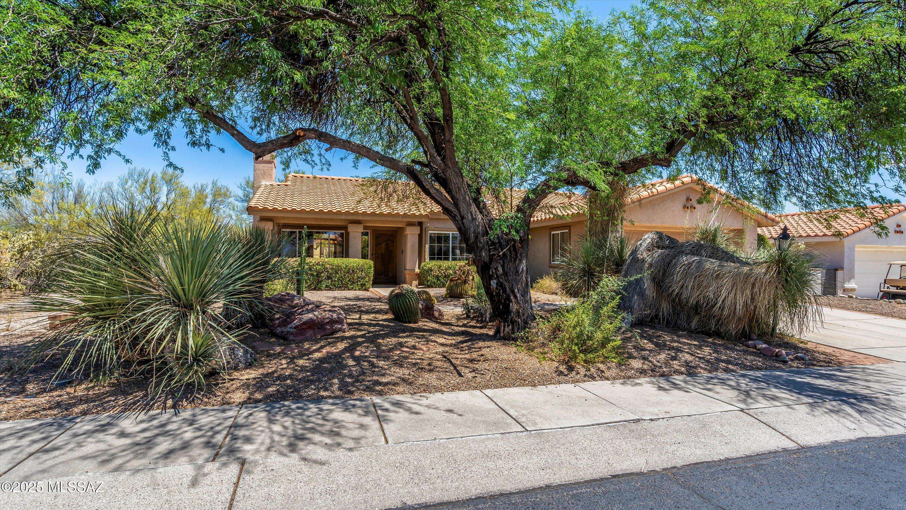 2315 E Chrysanthemum Street, Oro Valley, AZ 85755