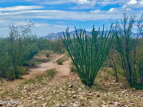 Huachuca City, AZ 85616,TBD Lonely Dove Pl 8.23 Acres #11