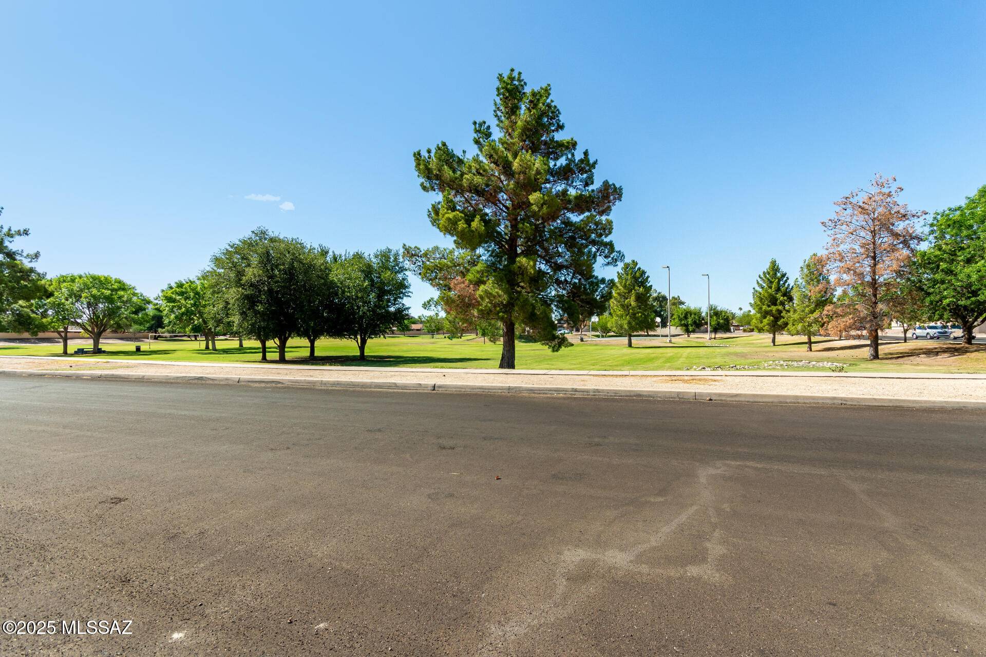 Tucson, AZ 85746,1671 W Colonial Heights